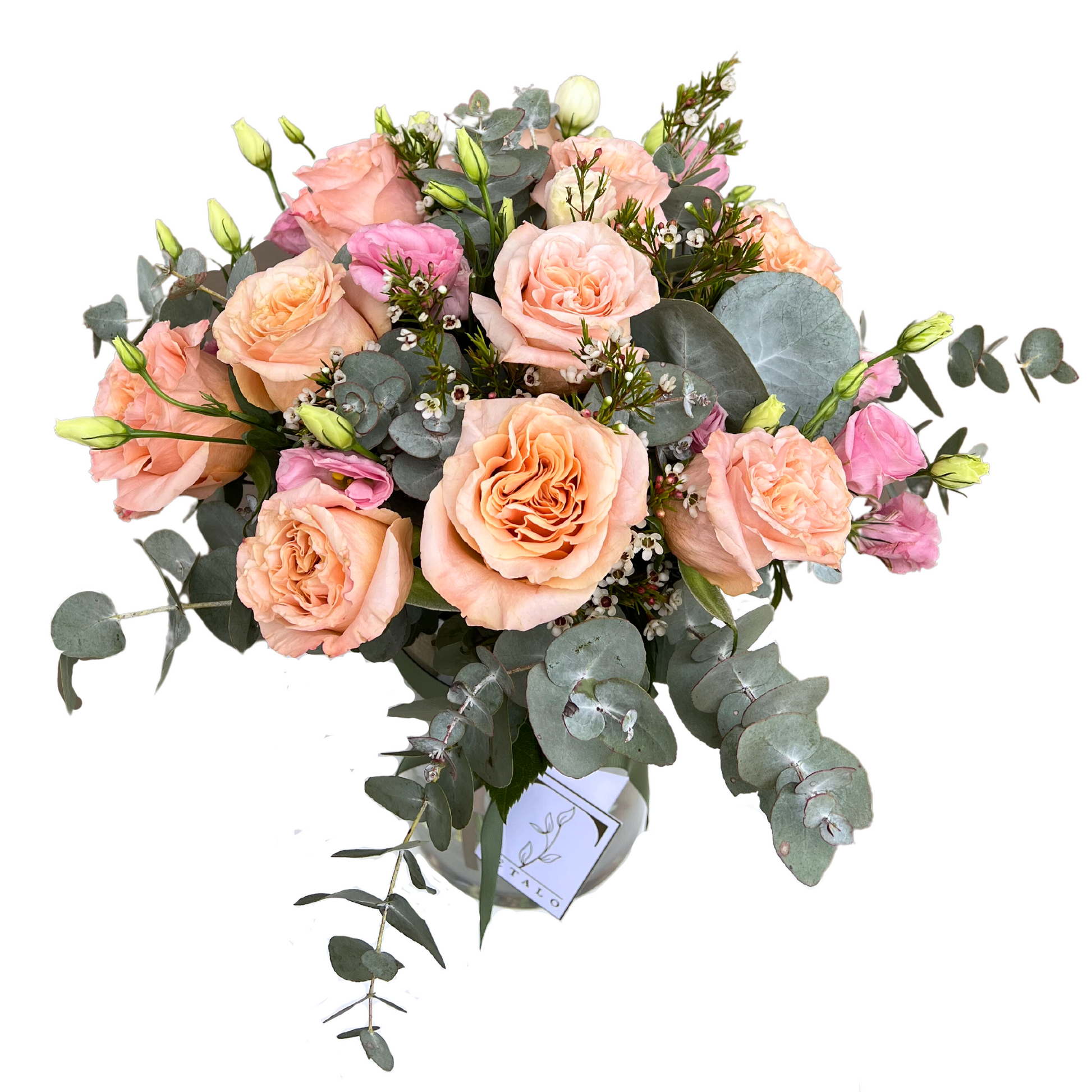 Peachy Rose Radiance - Petalo - Flower Delivery Melbourne 