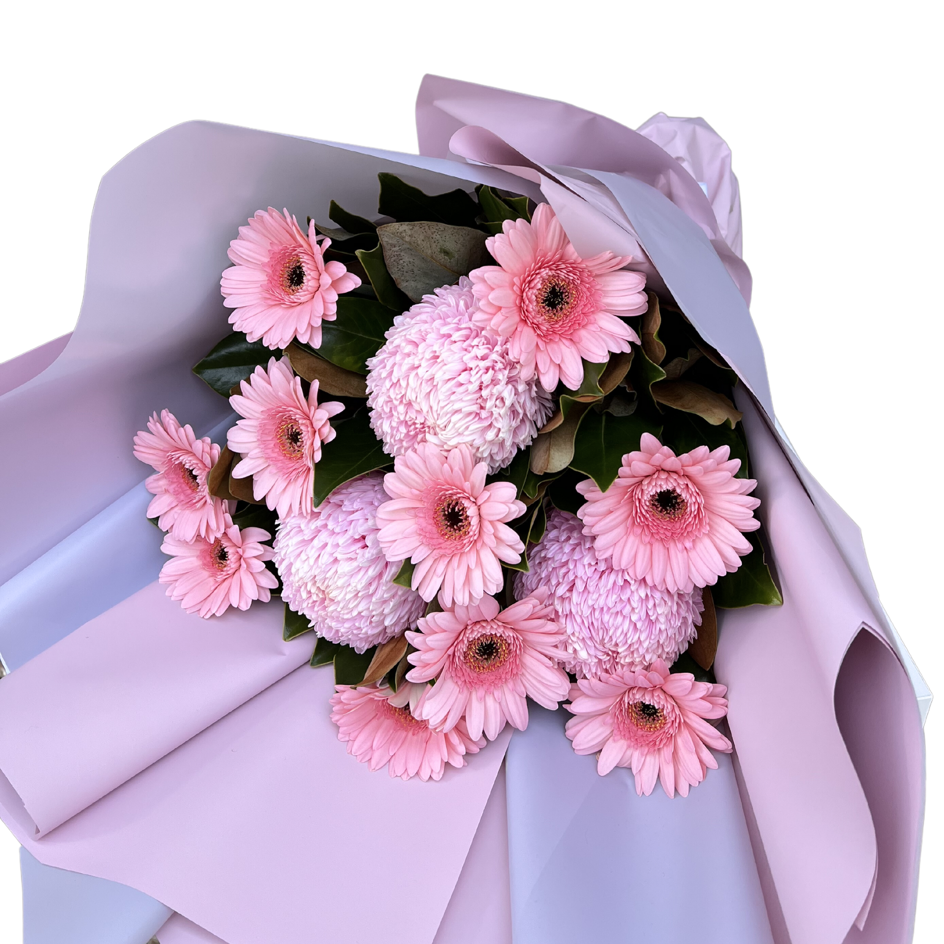 Radiant Pink Gerbera & Disbud Bouquet - Petalo - Flower Delivery Melbourne 