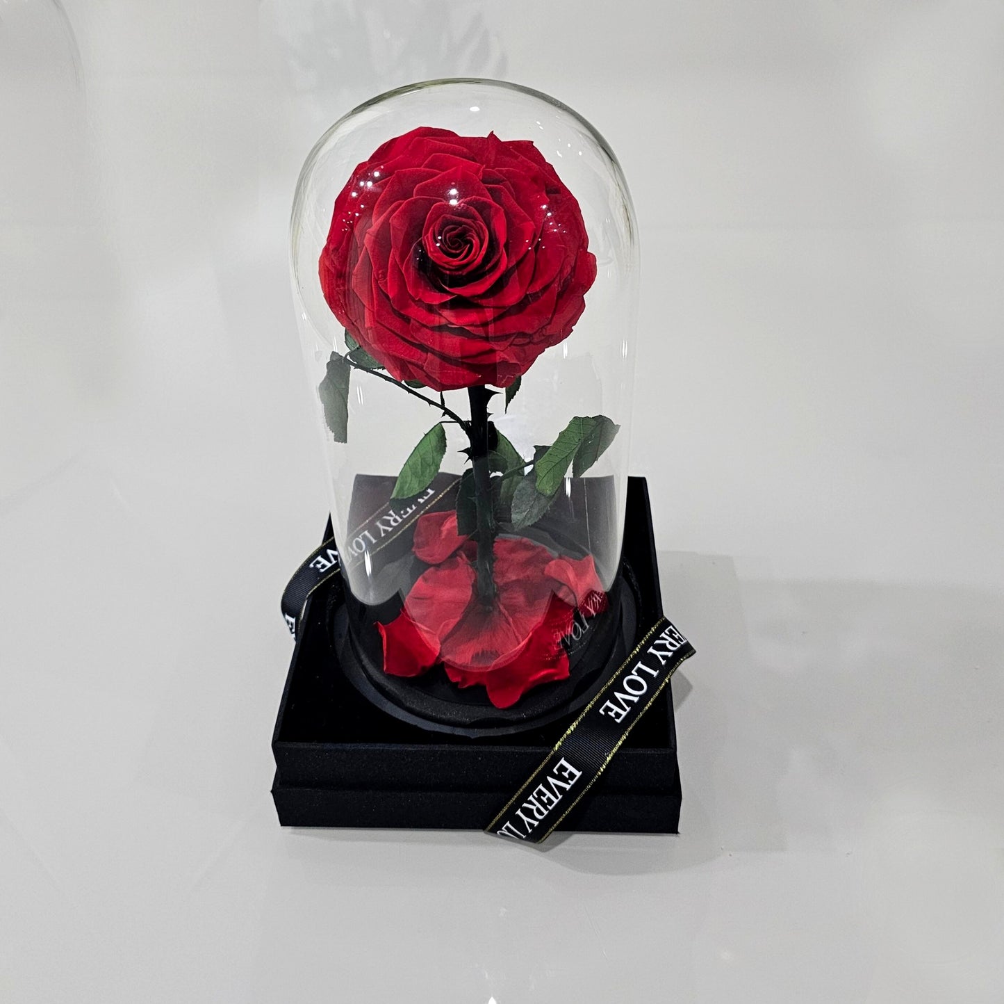 Eternal Rose in Glass Dome