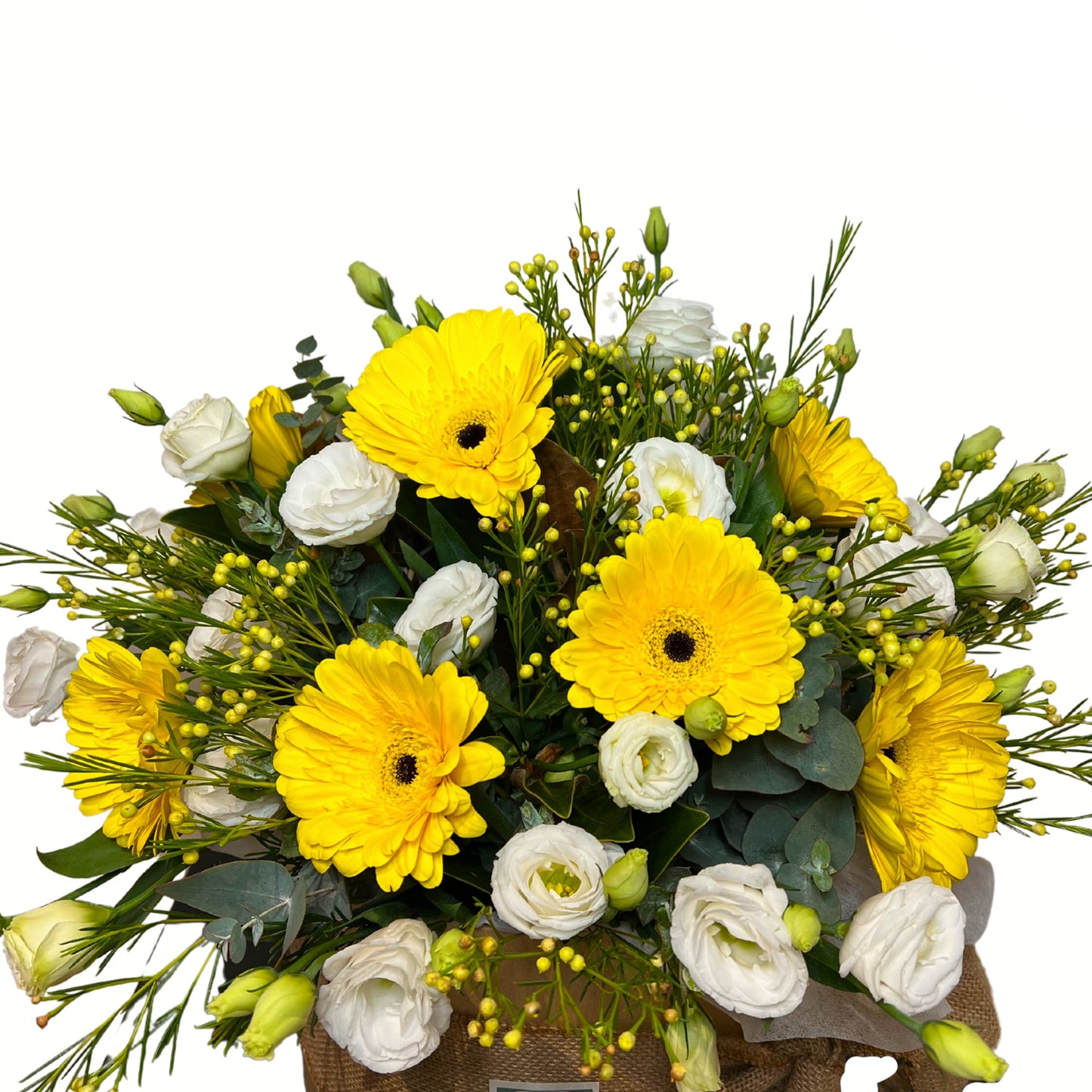 Gerbera Sunshine - Petalo - Flower Delivery Melbourne 