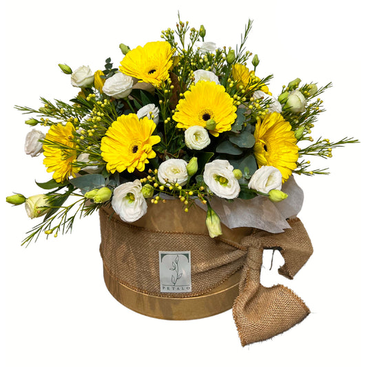 Gerbera Sunshine - Petalo - Flower Delivery Melbourne 